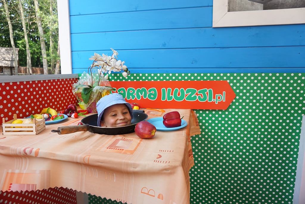 zdjecie
